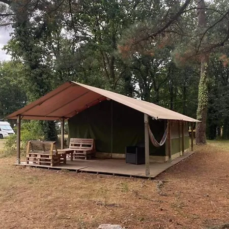 Zecamping 3 Chiens Acceptés Club Enfant Piscine Chauffée Camping